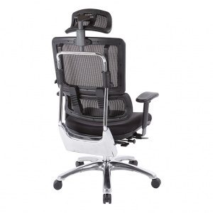 Ergonomic Chair with adjustable lumbar support